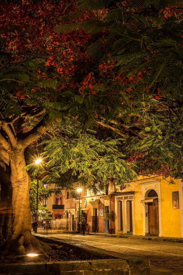 foto:Timmy Montes de Oca Álvarez - lo hecho en México