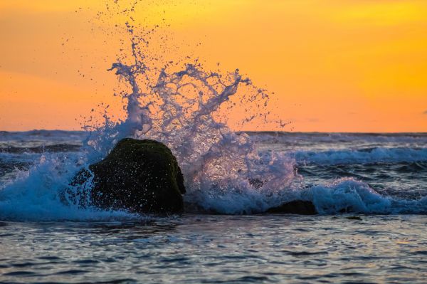 Daniel armando Garcia | concurso de fotografía Daniel armando Garcia