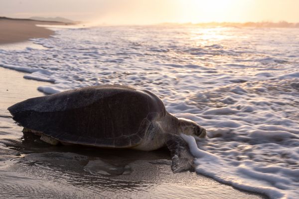 foto:Edgar Santiago  García - lo hecho en México