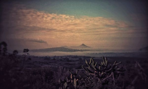 foto:Delmar Alonso Angeles  Gomez - lo hecho en México