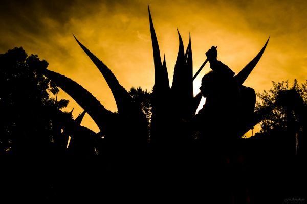 foto:Fernando Briceño Aguiñaga - lo hecho en México