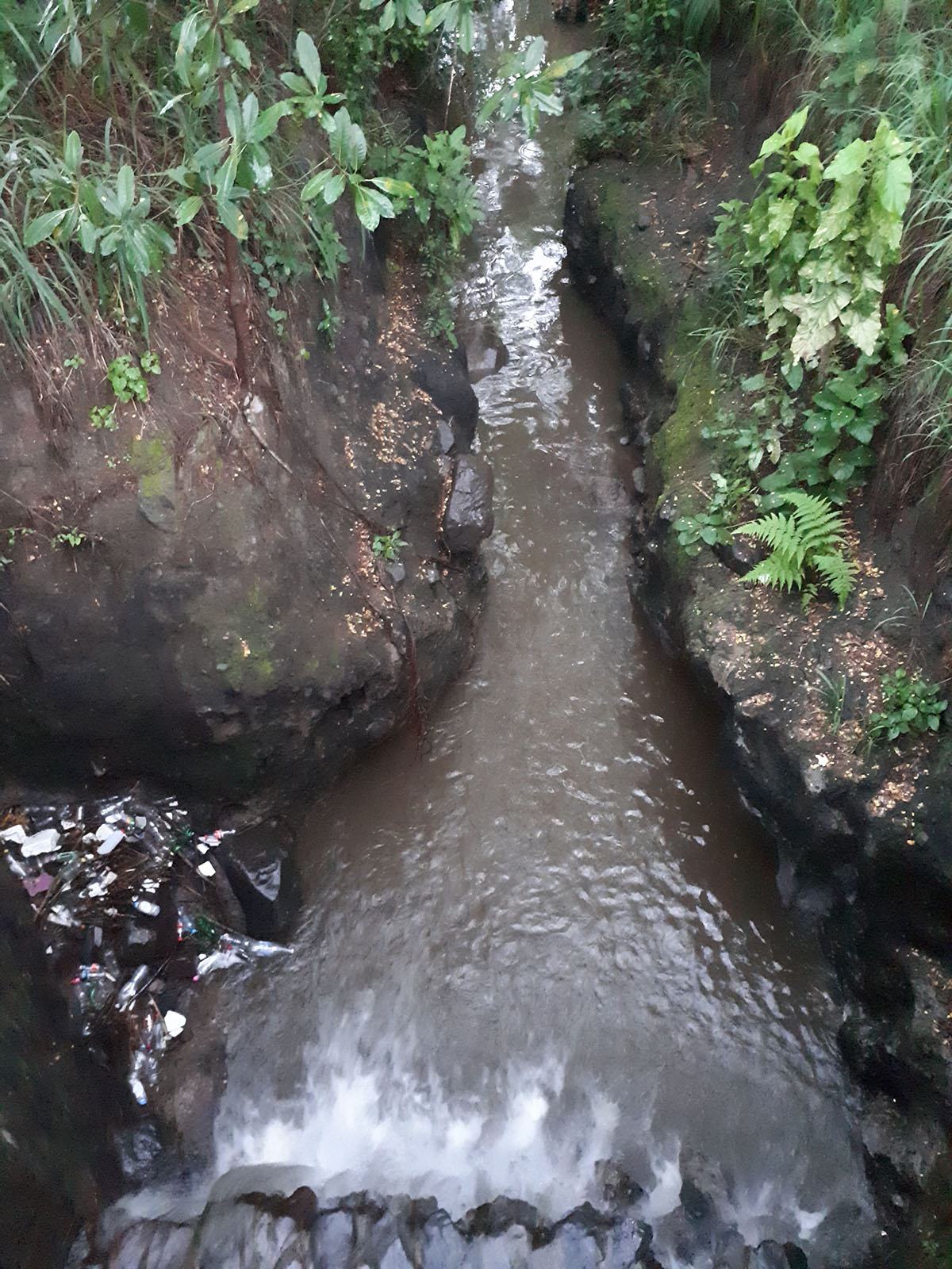 foto:Juan Ignacio  Camarena Berra  - lo hecho en México
