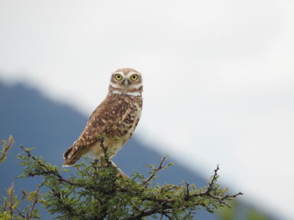 foto:Clarissa Cerdán Fernández - lo hecho en México