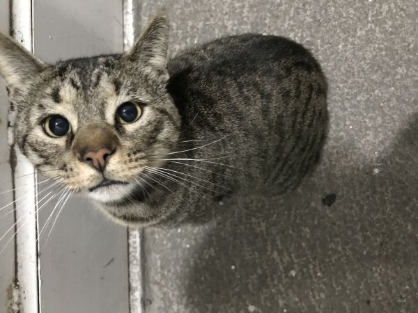 foto:Itzel Alarcon Morales  - lo hecho en México