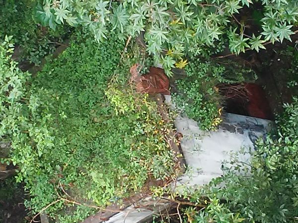 foto:Niki Oros Ramírez - lo hecho en México