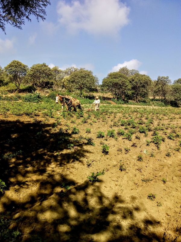 foto:Roberto  Osorno Beltrán - lo hecho en México