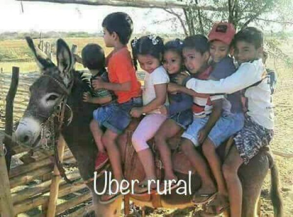 foto:Ivar Cassiel Vivanco Vazquez - lo hecho en México