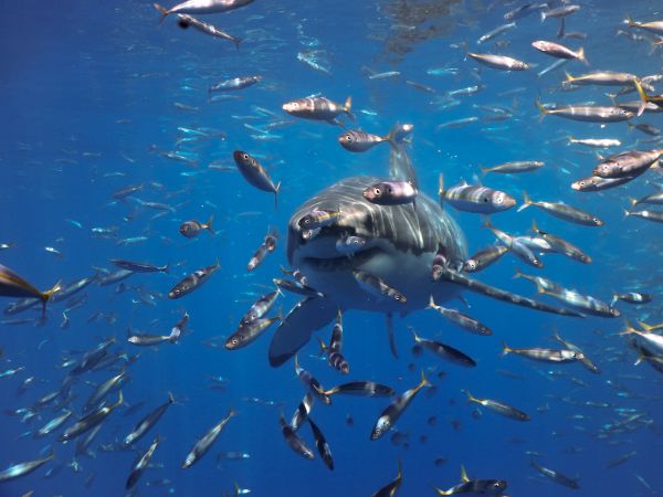 foto:Luis Eduardo Camacho López - lo hecho en México