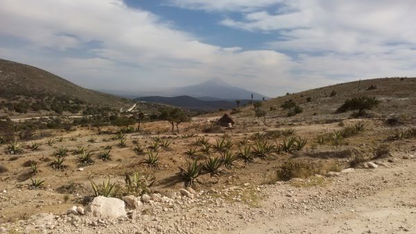 foto:Amed Roldan Trujillo - lo hecho en México
