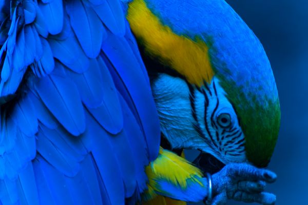 foto:Daniel Dozal Zamora - lo hecho en México