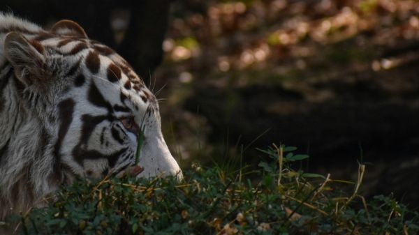 foto:Juan Carlos Nieto Lucero - lo hecho en México