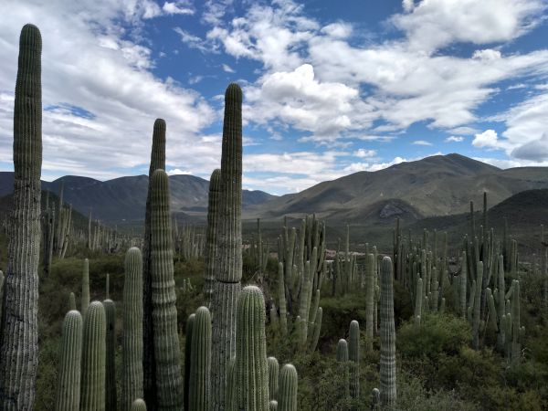 foto:Yolanda Medina Flores - lo hecho en México