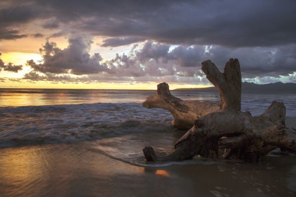 foto:MIGUEL HERNANDEZ PANIAGUA - lo hecho en México