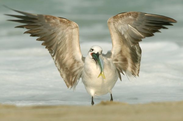 foto:Tarsicio Larios Félix - lo hecho en México