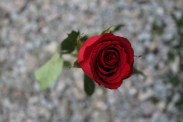 foto:Jeannette Pérez  Arenaza - lo hecho en México