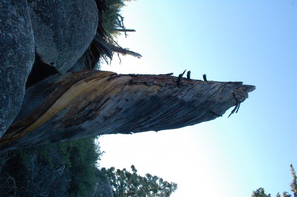 foto:Arlen Cristina Castillo Sánchez - lo hecho en México