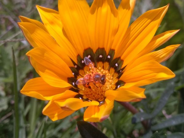 foto:Marco Antonio Montesinos Olivares - lo hecho en México