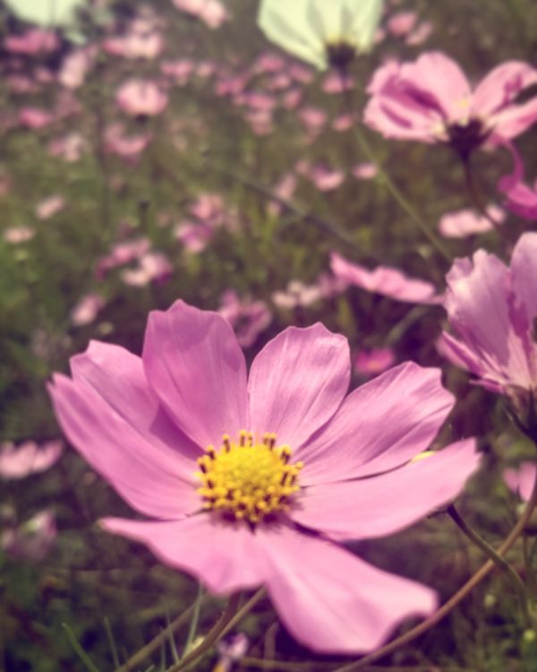 foto:Luis Enrique Ortíz. Martínez.  - lo hecho en México