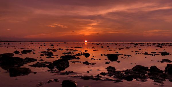 foto:Anghel Bárcena  Hermosillo  - lo hecho en México