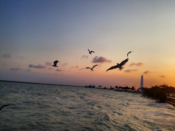 foto:Zaira  Hernández  Hernández  - lo hecho en México