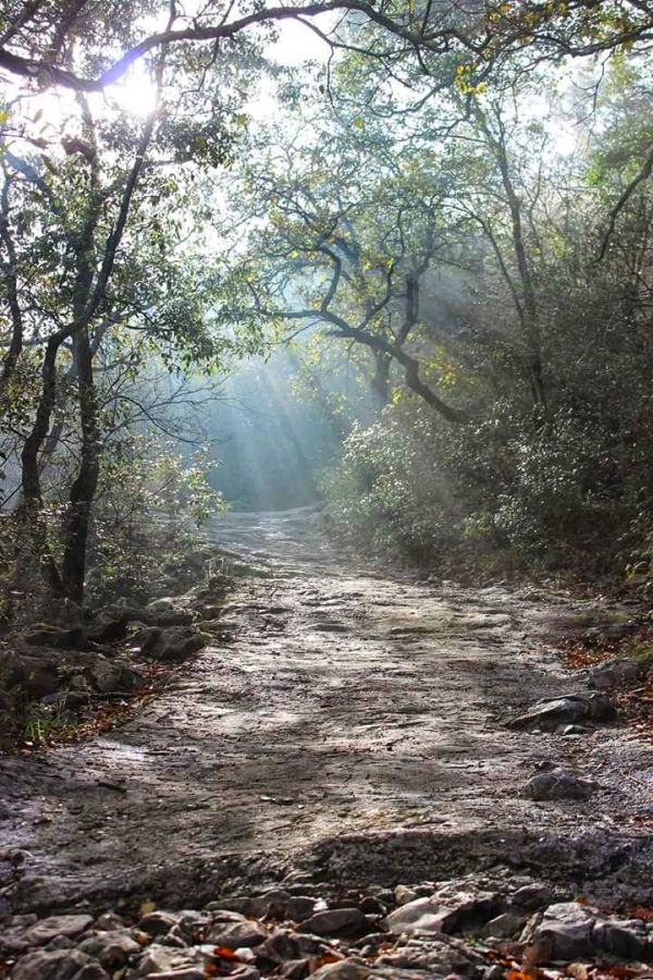 foto:Gladis Esmeralda Rodriguez Rios - lo hecho en México