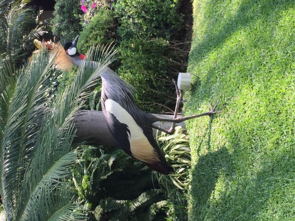 foto:Marissa Marlen Becerril Herrera - lo hecho en México