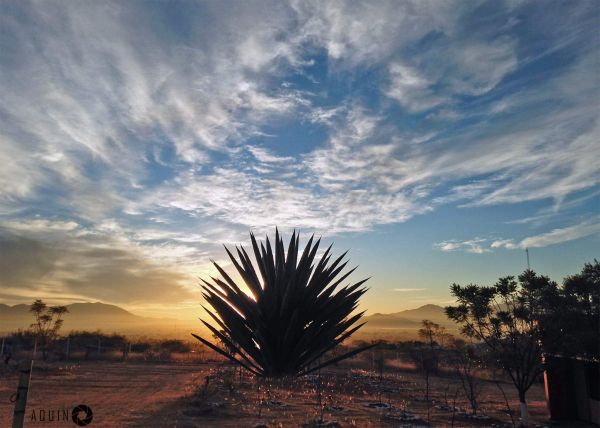 foto:Alejandro Aquino Santiago - lo hecho en México