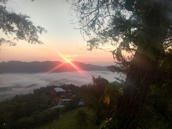 foto:Luis Guillermo Amaya  González - lo hecho en México
