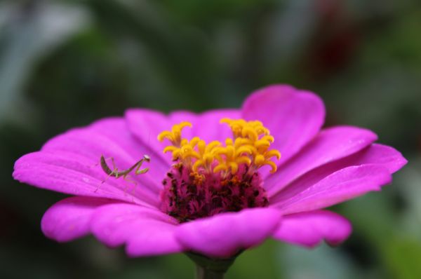 foto:Dalia Jazmin Chávez Reynoso - lo hecho en México