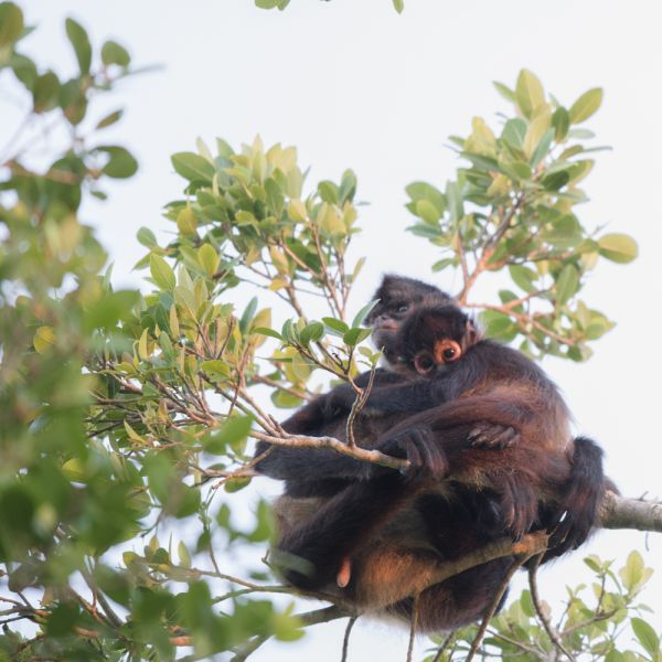 foto:Luis  Palomino Benítez - lo hecho en México