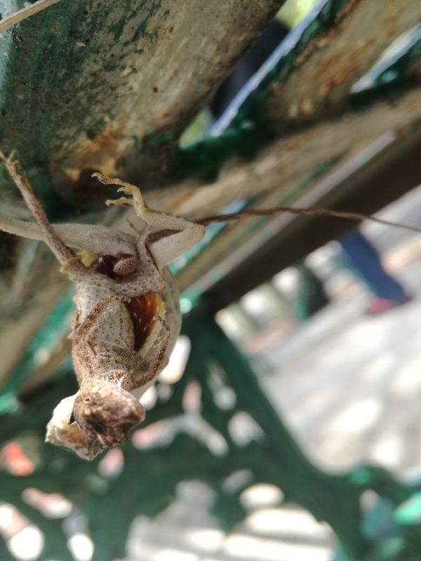 foto:Julio Agustin Dimas - lo hecho en México