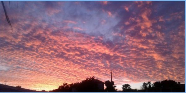 foto:Paula Lepe Peña - lo hecho en México