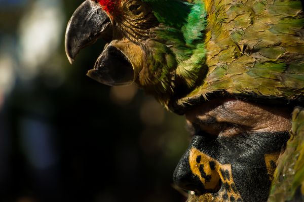 foto:Omar Jiménez Ruíz - lo hecho en México