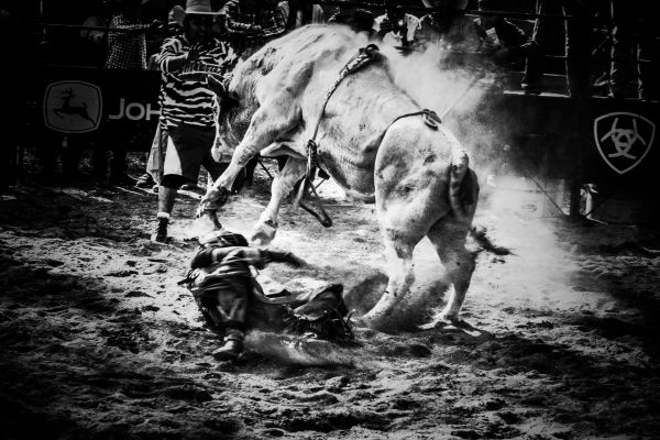 foto:Juan Carlos Martínez  Guerrero  - lo hecho en México