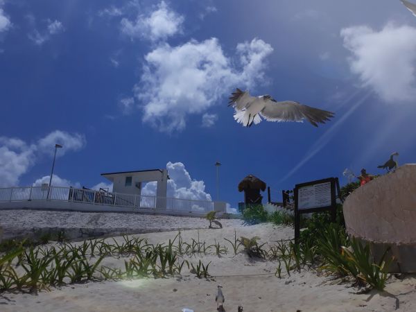 foto:Eduardo  Pech  Chuc - lo hecho en México