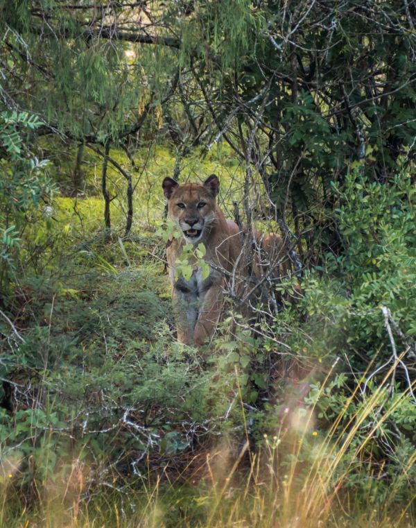 foto:Mauricio Carrera Hernández - lo hecho en México