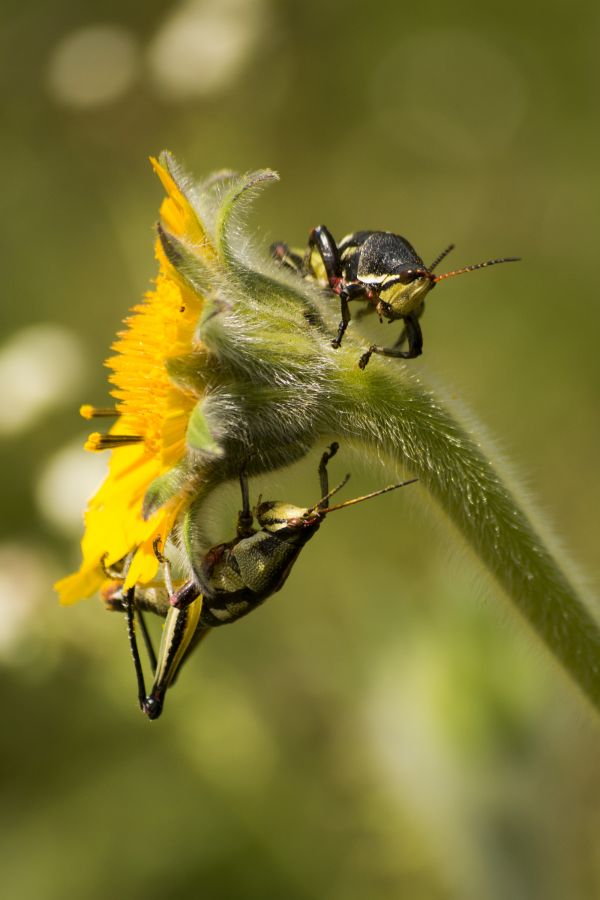 foto:Fernanda  Lavín González - lo hecho en México