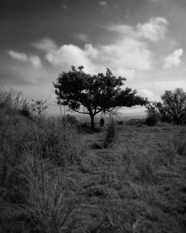 foto:Luis Enrique Ortiz Martínez - lo hecho en México