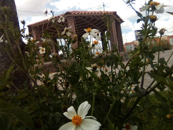 foto:Andrea Cecilia  Ciriaco Fernandez - lo hecho en México