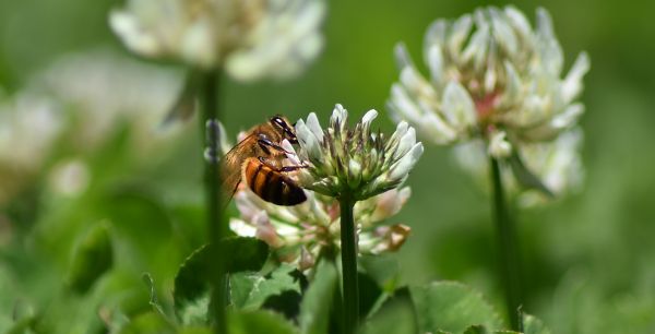 foto:Leslye Janette De la Torre Lozoya - lo hecho en México