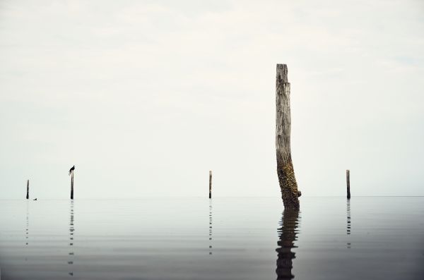 foto:Juan Pedraza Durán - lo hecho en México