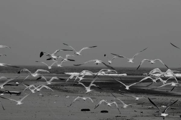 foto:José Maximiliano  Hiralda  Solares  - lo hecho en México