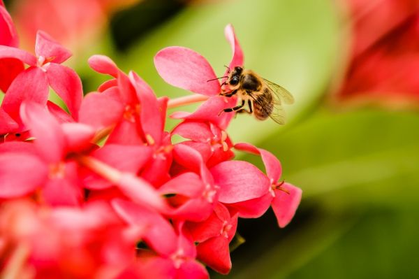 foto:zeidel  piedra salgado - lo hecho en México