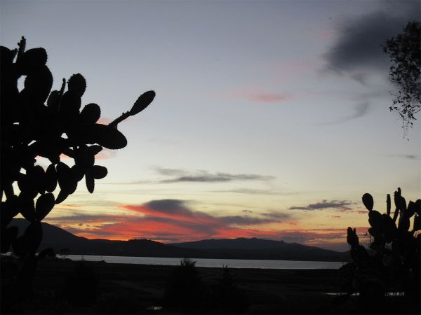 foto:Miriam  Macedonio  Lovera  - lo hecho en México