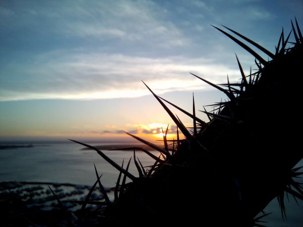 foto:Jesus Adrian Cazares  Rivera - lo hecho en México