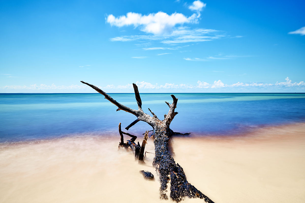 foto:Jonnathan  Castillo Ortiz - lo hecho en México