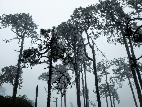 foto:Francisco Santiago Jimenez - lo hecho en México