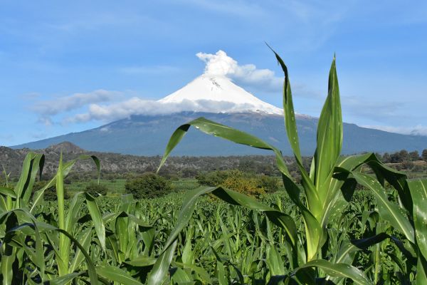 foto:Román  Luna Ramos - lo hecho en México