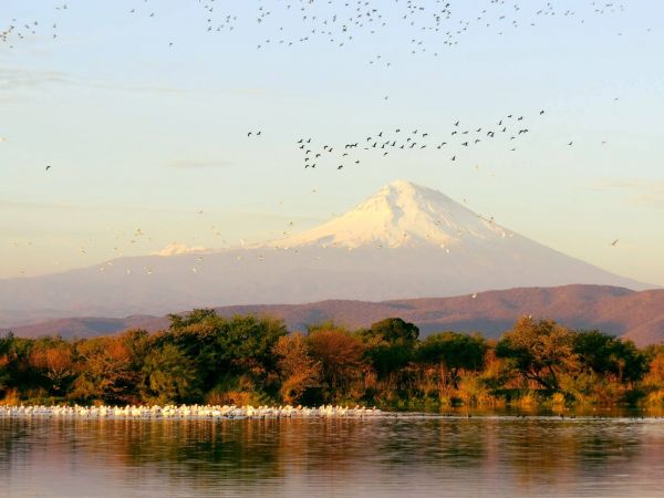 foto:Amaury  Trujillo Hernández  - lo hecho en México