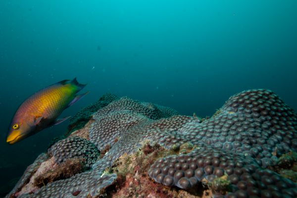 foto:Jose Mabarak Rodriguez - lo hecho en México